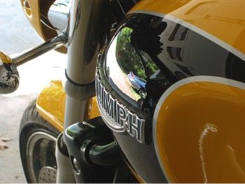 Thunderbird Sport Fuel Tank