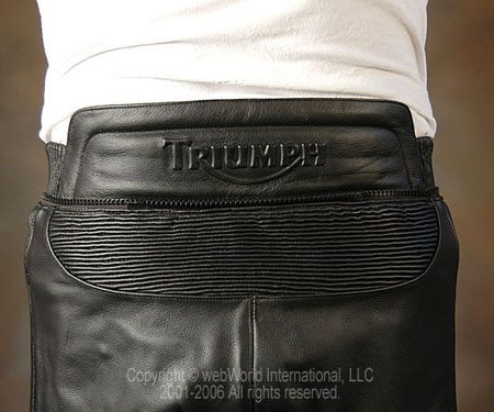 Triumph Classic Jeans II - Rear View