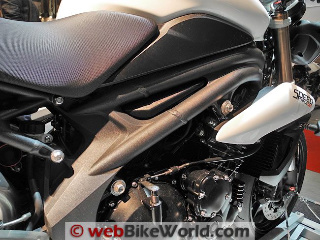 2011 Triumph Speed Triple - Frame