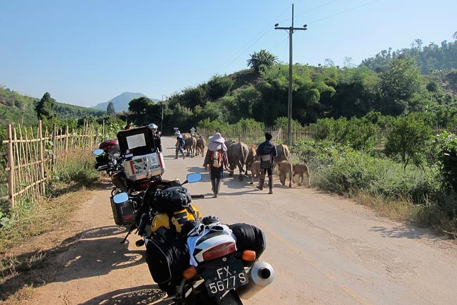 Fang Towards Mae Sai