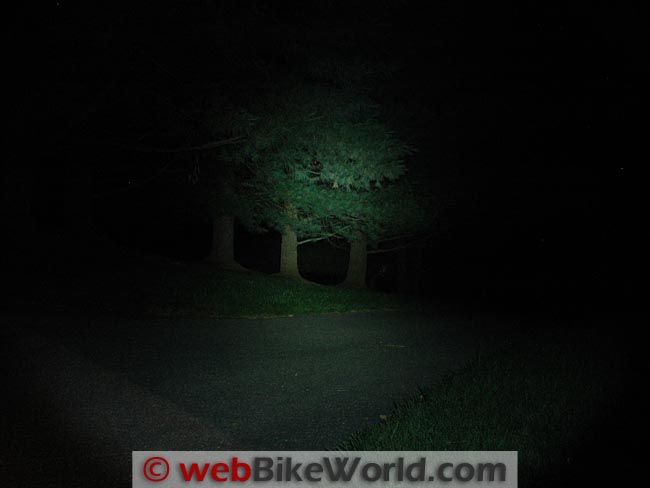 Clearwater 700 Lumen Flashlight on Trees