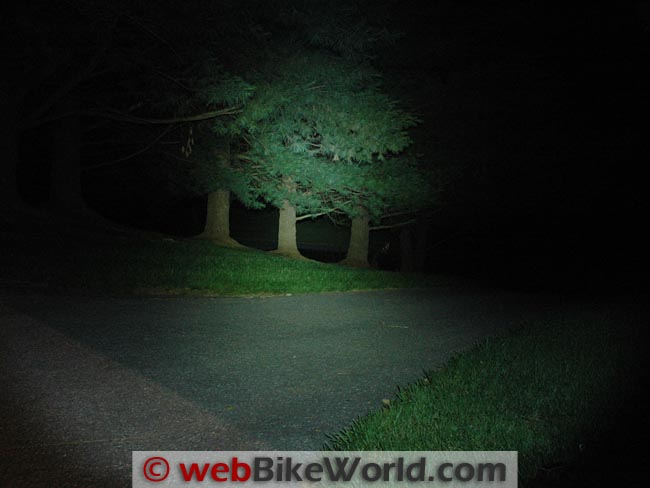 Clearwater 800 Lumen Flashlight on Trees