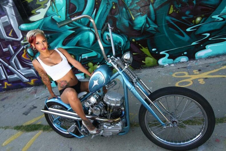 Super Freak built by Chopper Daves of U.S.A.