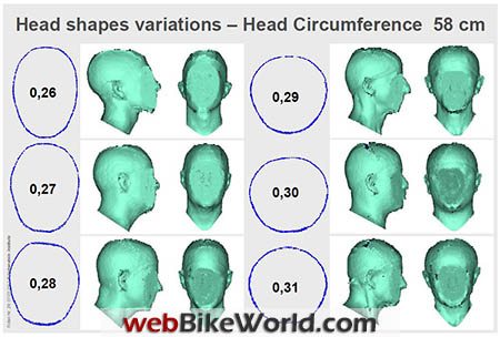 Head Shape Variations