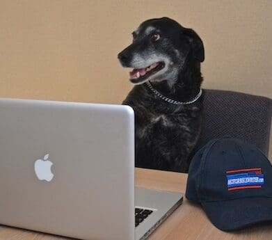 MotorbikeWriter staff dog mum
