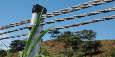 Wire rope barriers millions Widow calls for halt on wire rope barrier ads