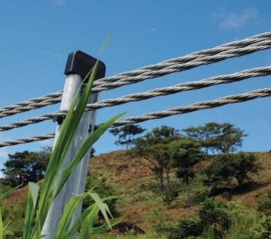 Wire rope barriers millions Widow calls for halt on wire rope barrier ads