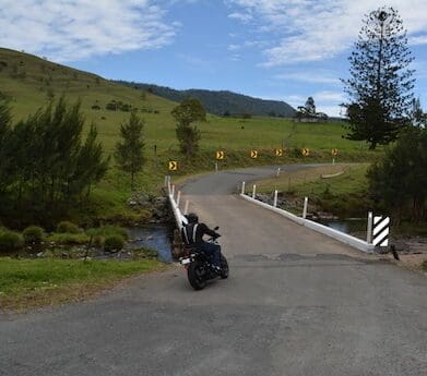 Lions TT Lions Rd - Sturgis