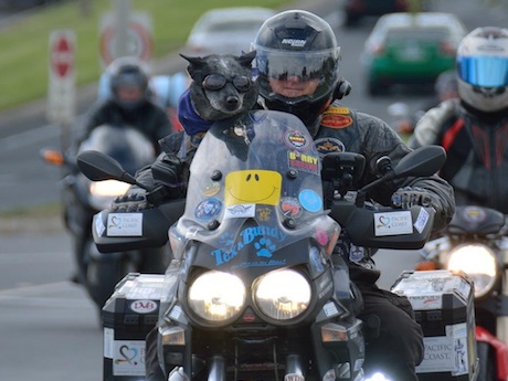 Tex and Bundy motorcycle charity ride