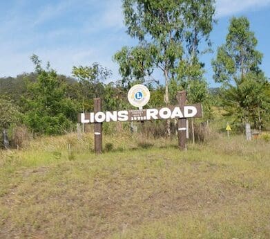 Lions TT traffic