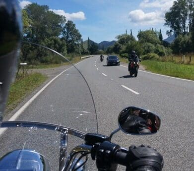 Kiwi drivers