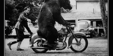 Motorcycle theft stolen motorcycles sick skunklock scams penalties tougher