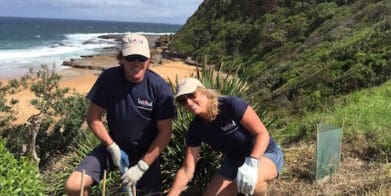 World on Wheels tree planting environment