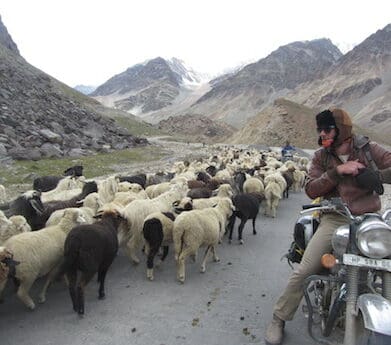 Discounts on India Travelz motorcycle tours