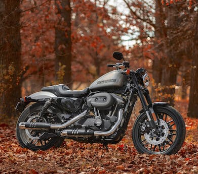 Harley-Davidson Sportster Roadster