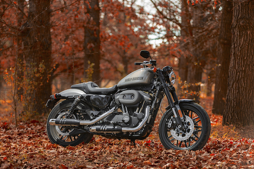 Harley-Davidson Sportster Roadster