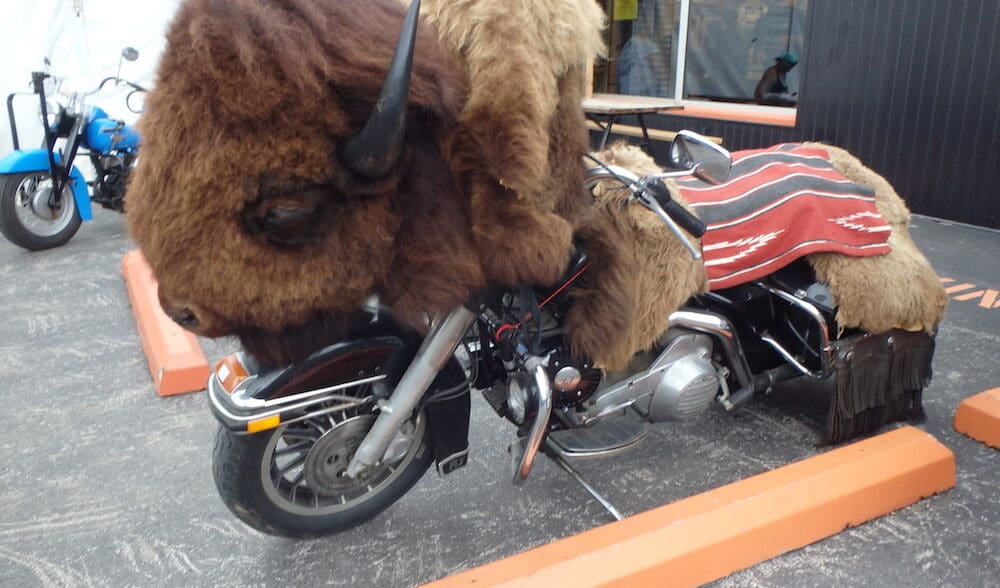 Riders used as political footballs motorcycles motorcycle Stiurgis Motorcycle Rally bison