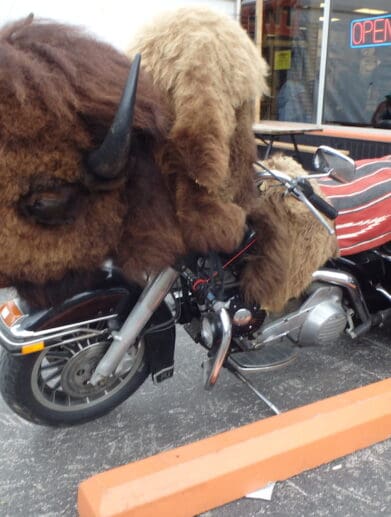 Riders used as political footballs motorcycles motorcycle Stiurgis Motorcycle Rally bison