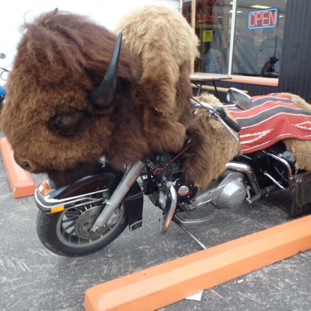 Riders used as political footballs motorcycles motorcycle Stiurgis Motorcycle Rally bison