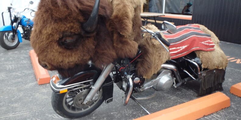 Riders used as political footballs motorcycles motorcycle Stiurgis Motorcycle Rally bison