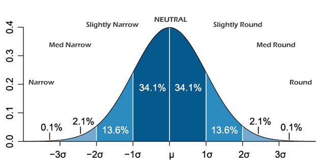 Motorcycle helmet shape distribution, estimated.