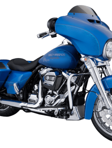 HD 100th Anniversary Street Glide signed by Willie G