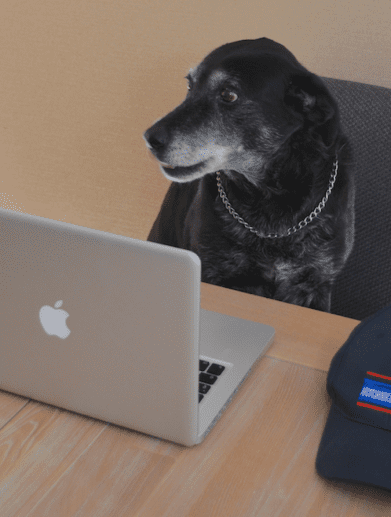 Online research halves dealer visits