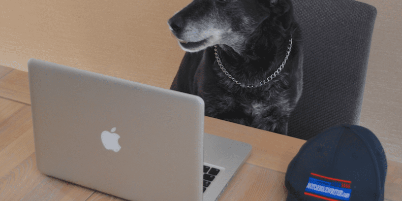 Online research halves dealer visits
