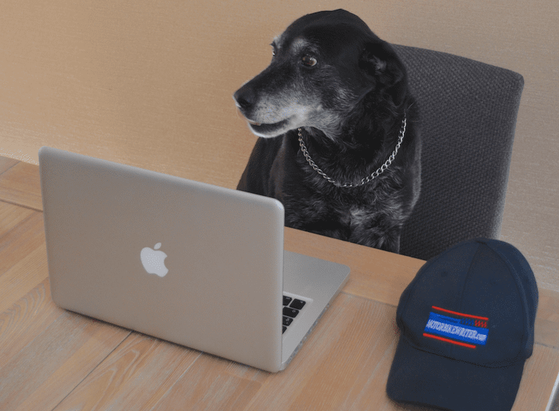 Online research halves dealer visits