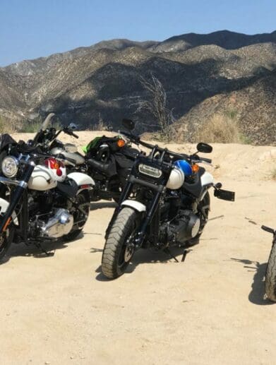 Harley-Davidson Softails bronx events