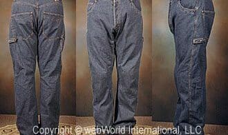 Alpinestars Ergo Painter Denim Pants