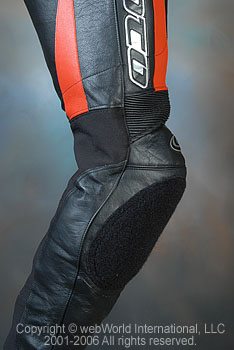 Side View of Knee and Leg