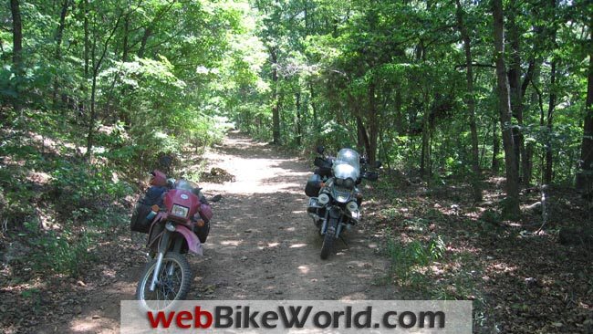 In the Woods on the Trans-America Trail