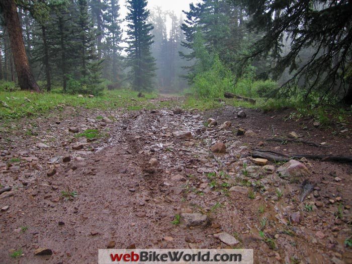 Muddy Trail