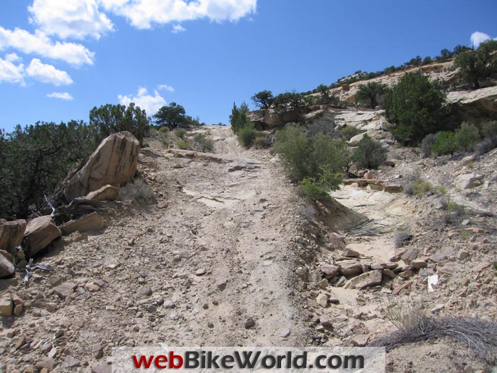 Trans-America Trail Climb