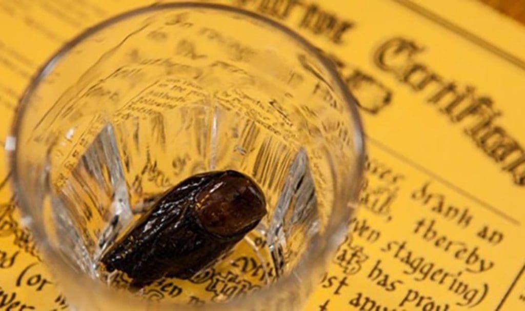 The Sourtoe Cocktail