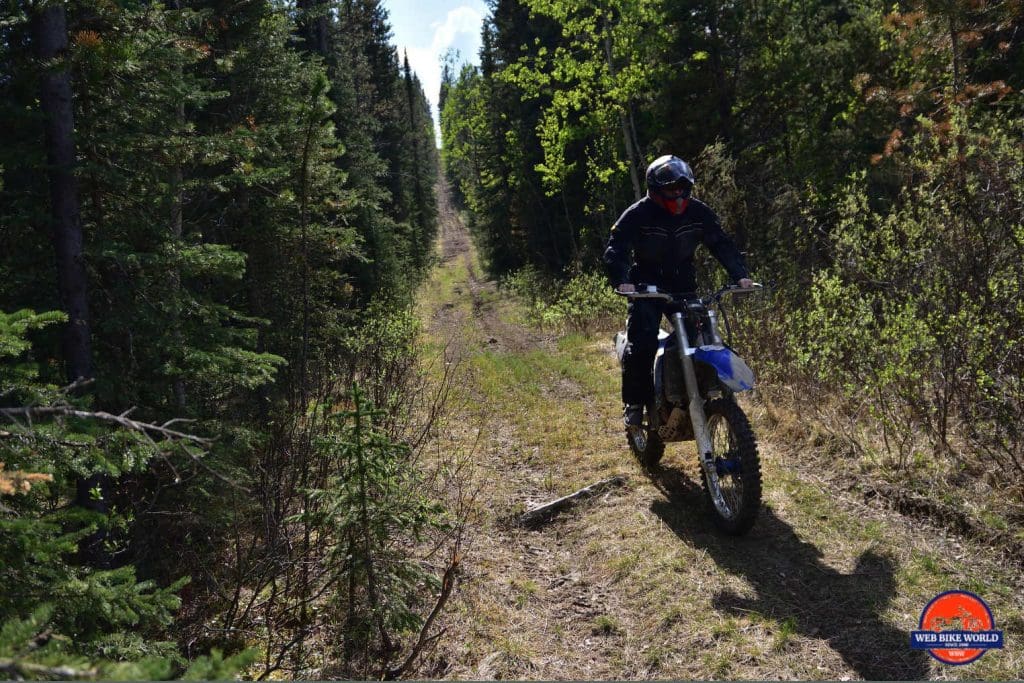 Rukka ROR Jacket in Forest Terrain Backdrop