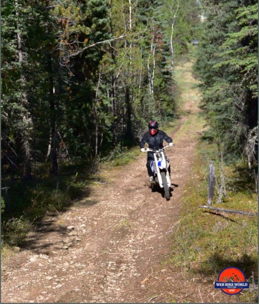 Forest Terrain with Bike for Testing Rukka ROR