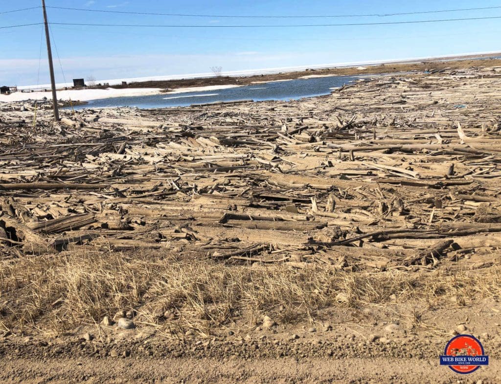 Logs on the beach at Tuktoyaktuk