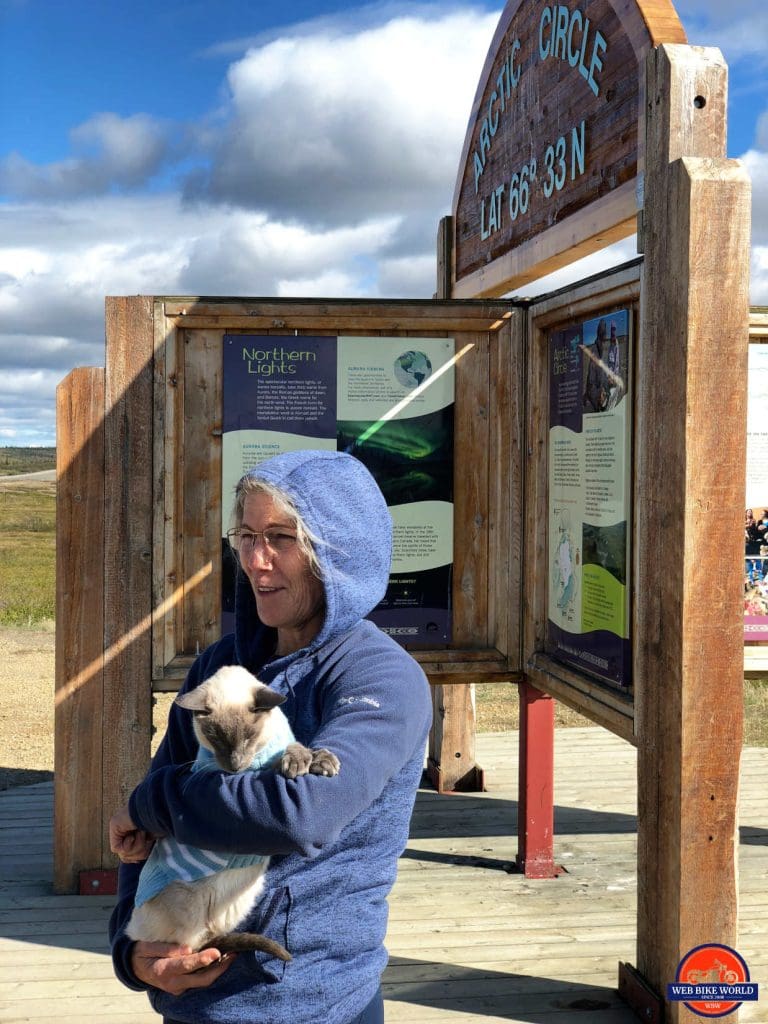 A Siamese cat from Florida at the Arctic Circle on the Dempster Highway.