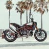 2019 Indian FTR 1200 S with Akrapovič Exhaust