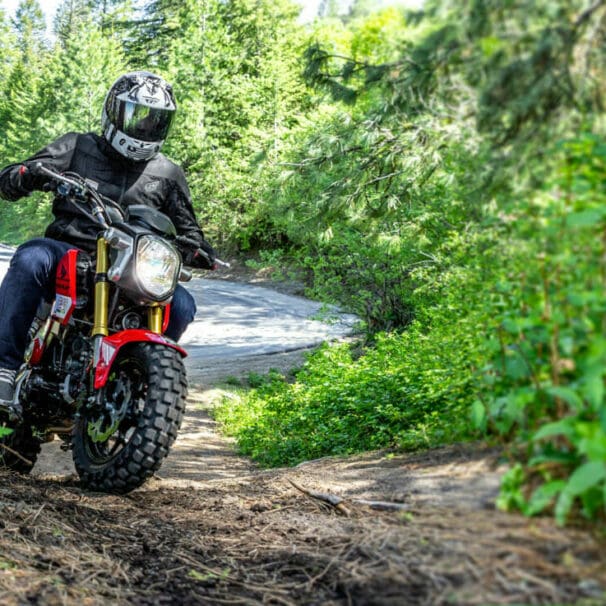 Shinko mobber tire