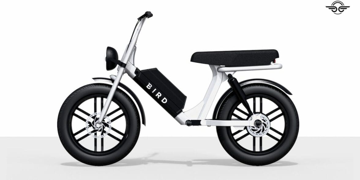 Bird Cruiser