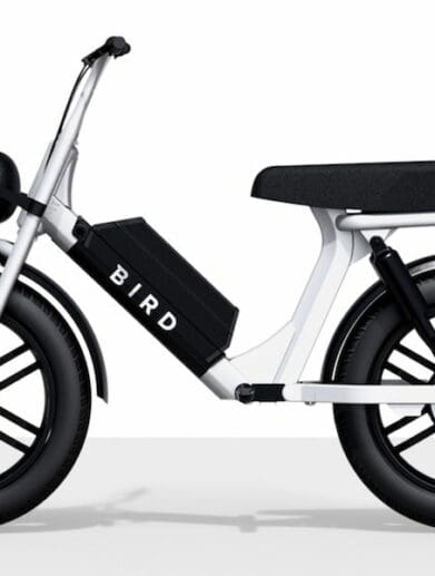 Bird Cruiser