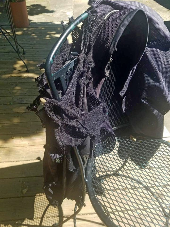 A destroyed mesh motorcycle jacket.
