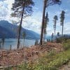 Trout Lake, British Columbia.