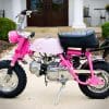 1969 Vintage Honda Z50A K1 Breast Cancer Awareness Bike