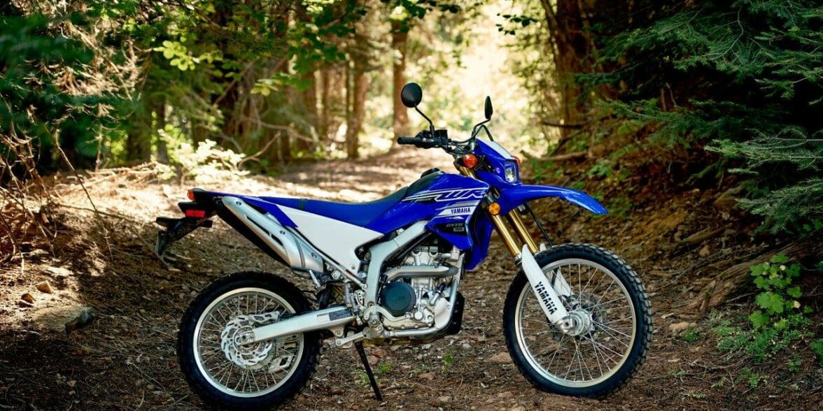 Hacia atrás subasta Peaje 2020 Yamaha WR250R [Specs & Info] | wBW