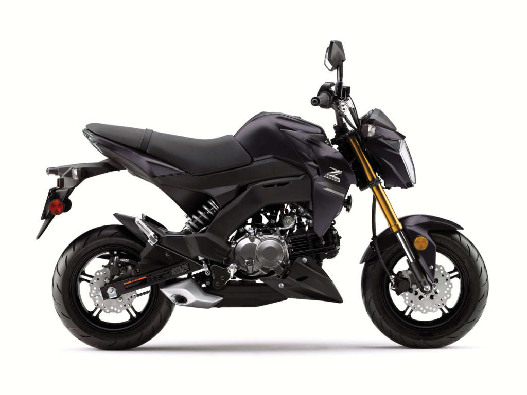 2020 Kawasaki Z125 Pro