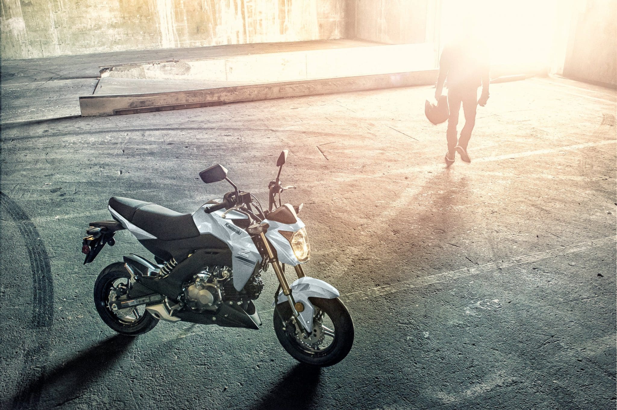2020 kawasaki z125 pro